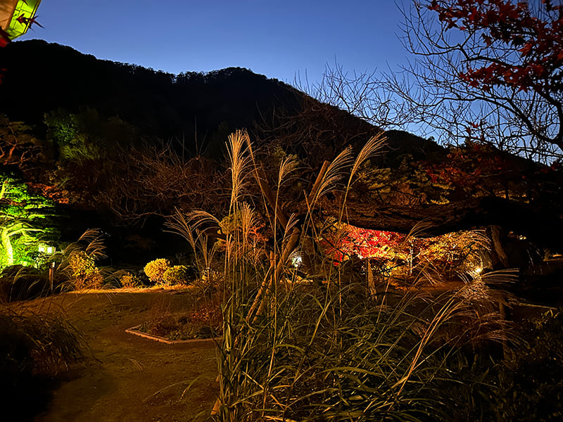 日本庭園　水月園