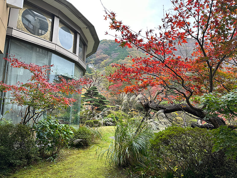 日本庭園　水月園