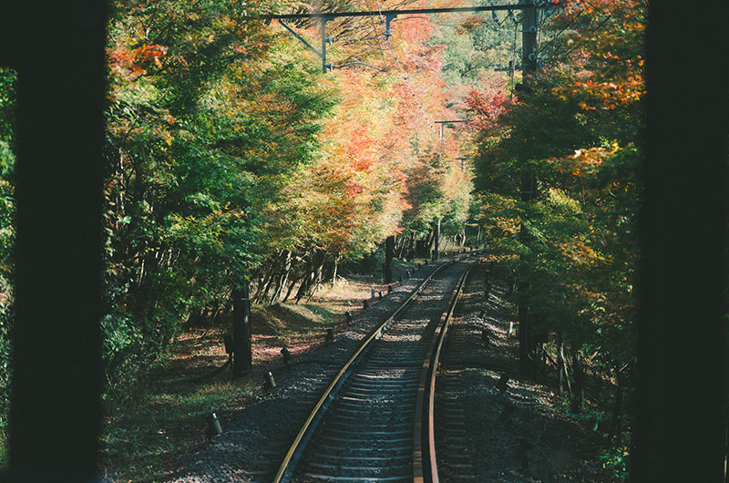 叡山電車沿線の紅葉を楽しむ。もみじのトンネルに貴船神社・京都